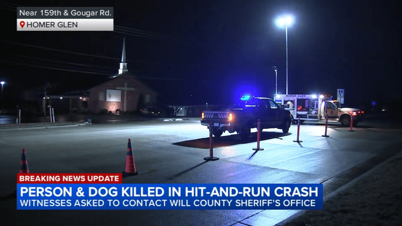 Deadly hit-and-run in Homer Glen, sheriff's office says