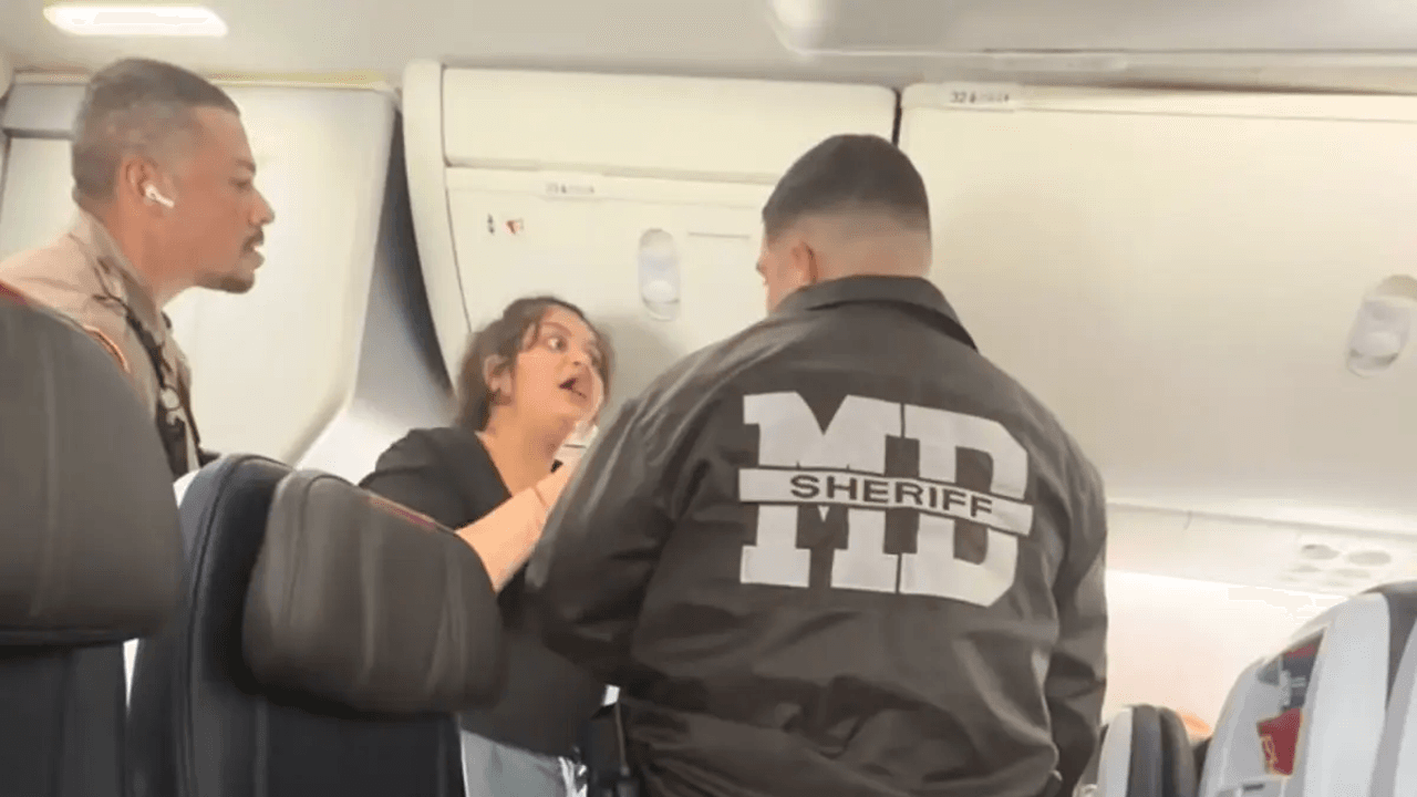 American Airlines traveler freaks out as she’s allegedly kicked off plane for playing videos on loudspeaker