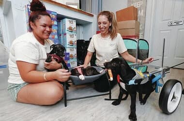 Puppy’s shooting inspires community action