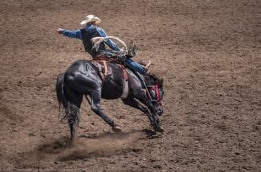 Posh Vintage Rodeo Postpones Debut At Calistoga Fairgrounds